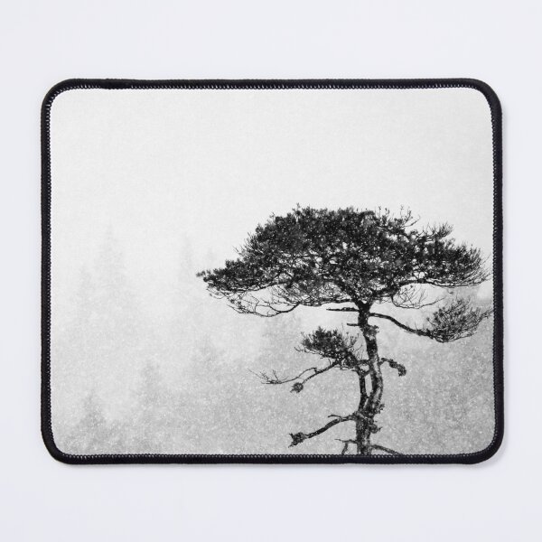 Item preview, 22.1.2024: Pine Tree in Snowfall designed and sold by Petri Volanen.