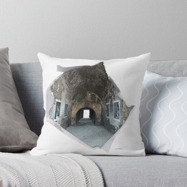 Item preview, Arles Arena, UNESCO World Heritage designed and sold by NorbertRicaud.