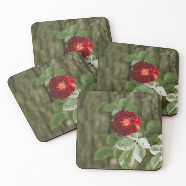 Item preview, Vibrant Open Rose designed and sold by MoodandMagic.