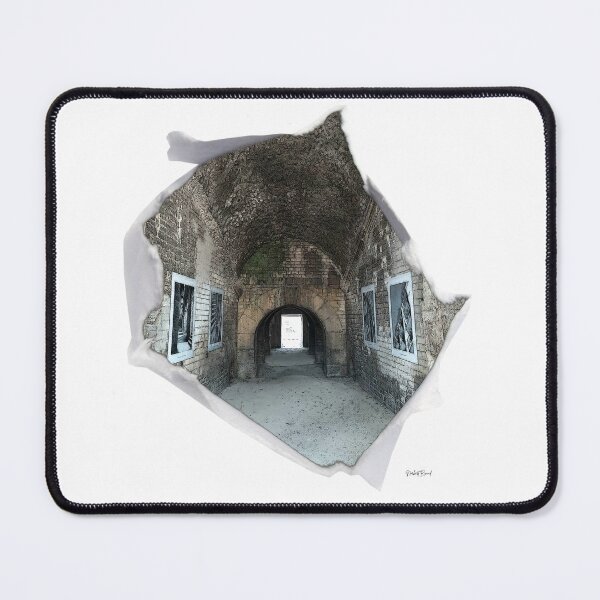 Item preview, Arles Arena, UNESCO World Heritage designed and sold by NorbertRicaud.