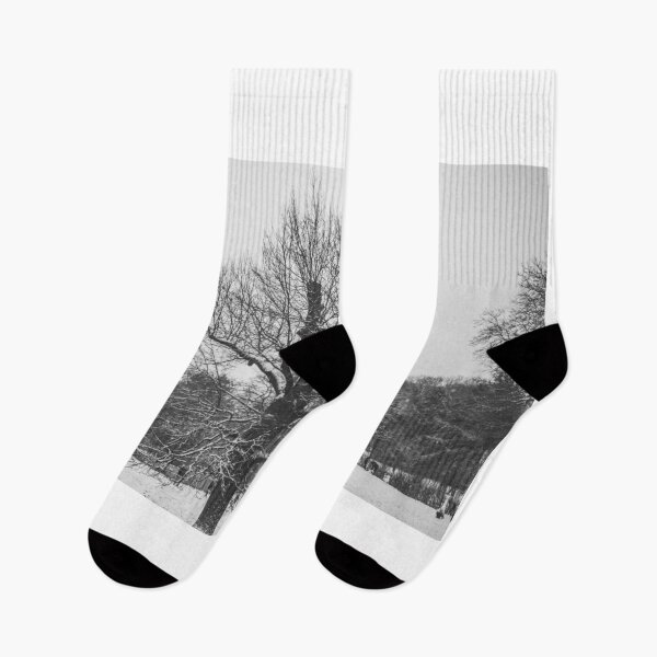 Item preview, The park in winter designed and sold by jsebouvi.