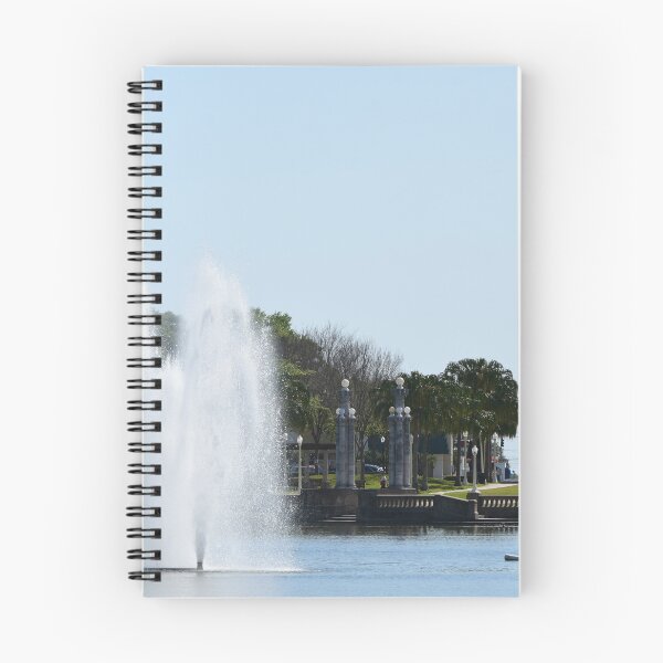 Item preview, Fountain on Lake Mirror designed and sold by Jo Jurkiewicz.