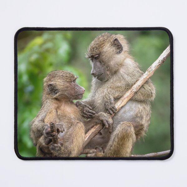 Item preview, Infant and Adult Baboon Tanzania Africa designed and sold by PhotoArt by Joan Carroll.