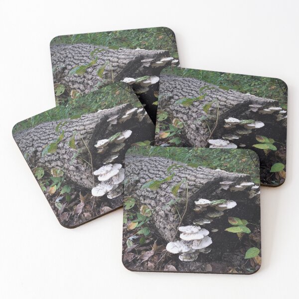 Item preview, Ecosystem  designed and sold by Rachel  Blackwell.