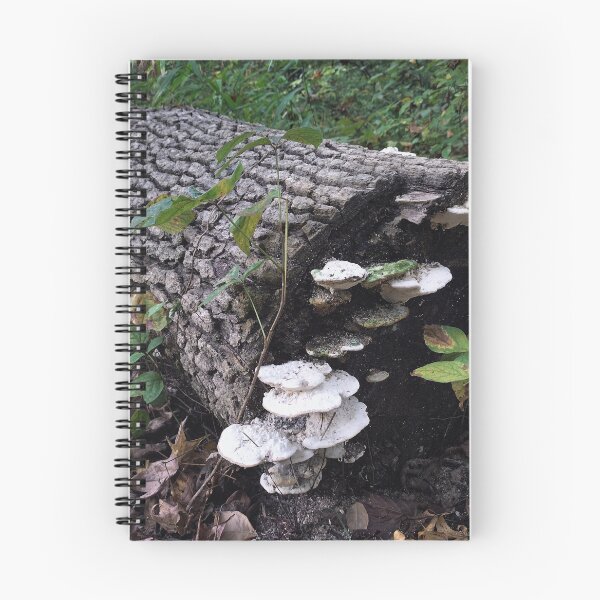 Item preview, Ecosystem  designed and sold by Rachel  Blackwell.