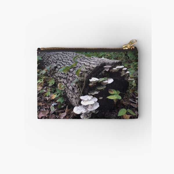 Item preview, Ecosystem  designed and sold by Rachel  Blackwell.