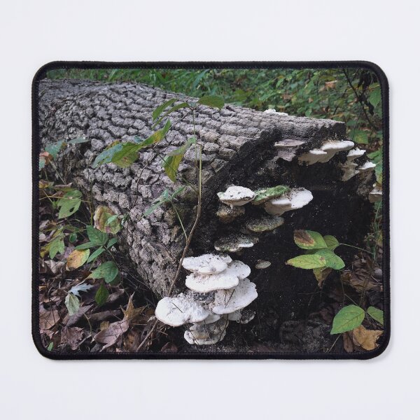Item preview, Ecosystem  designed and sold by Rachel  Blackwell.