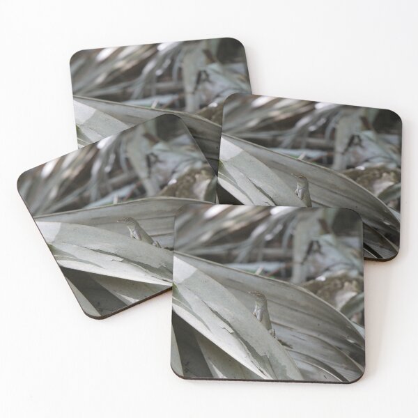 Item preview, lagarto anolis designed and sold by Faith-B-Photos.