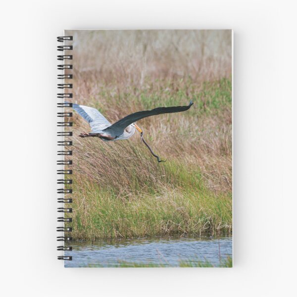 Item preview, Getting carried away designed and sold by Texas Enfocus Photography.