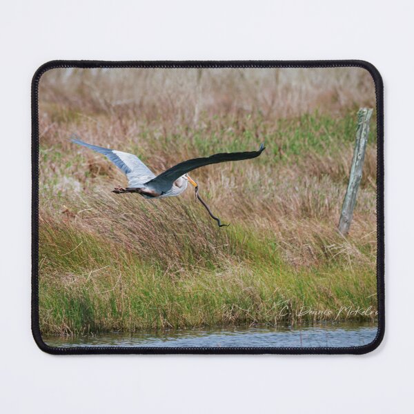 Item preview, Getting carried away designed and sold by Texas Enfocus Photography.