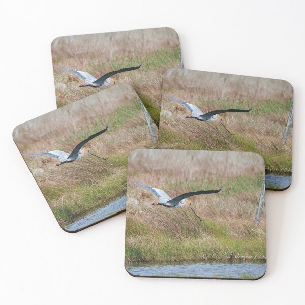 Item preview, Getting carried away designed and sold by Texas Enfocus Photography.