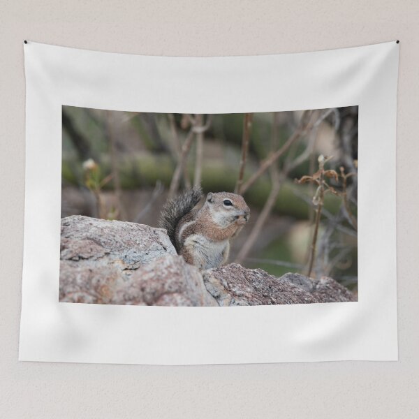 Item preview, Antelope Ground Squirrel on a rock designed and sold by MustelidMayArt.