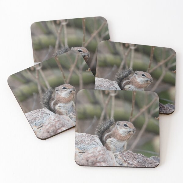 Item preview, Antelope Ground Squirrel on a rock designed and sold by MustelidMayArt.