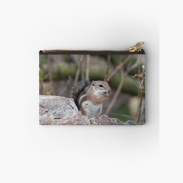 Item preview, Antelope Ground Squirrel on a rock designed and sold by MustelidMayArt.