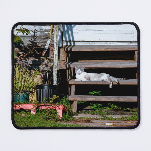 Item preview, Tom the Cat designed and sold by Texas Enfocus Photography.