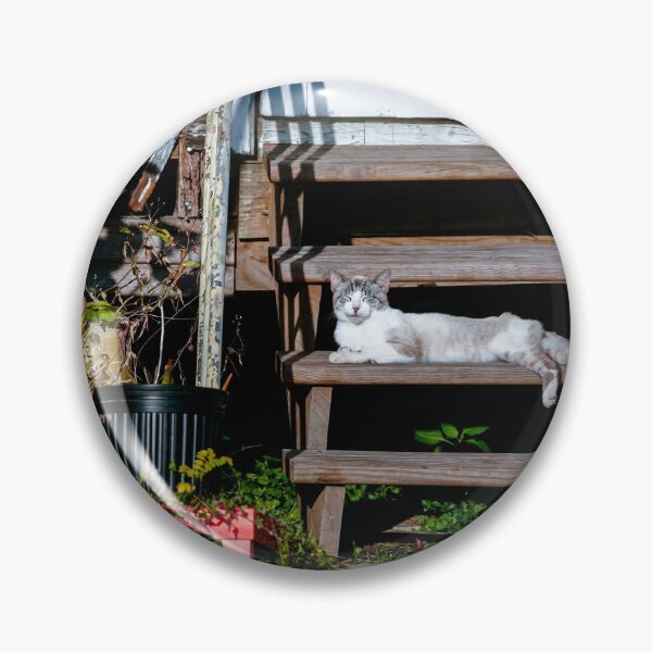 Item preview, Tom the Cat designed and sold by Texas Enfocus Photography.