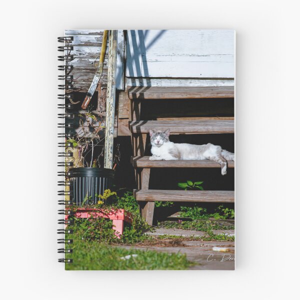 Item preview, Tom the Cat designed and sold by Texas Enfocus Photography.