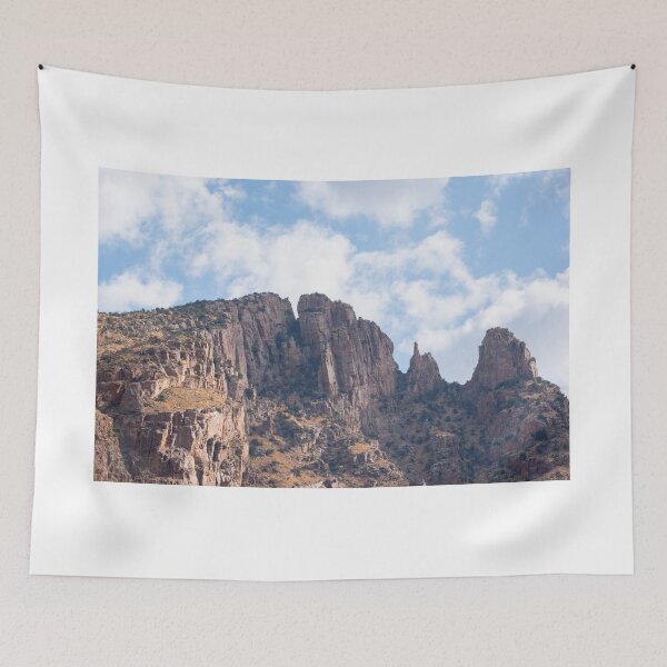 Item preview, Sonoran Desert Landscape designed and sold by MustelidMayArt.