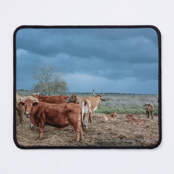 Item preview, Watching and Waiting designed and sold by Texas Enfocus Photography.