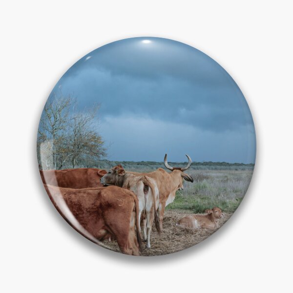Item preview, Watching and Waiting designed and sold by Texas Enfocus Photography.