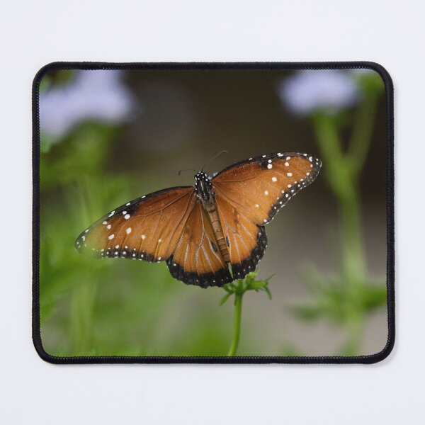 Item preview, Queen monarch Butterfly Portrait designed and sold by MustelidMayArt.