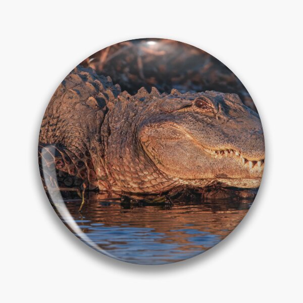 Item preview, What big teeth you have designed and sold by Texas Enfocus Photography.