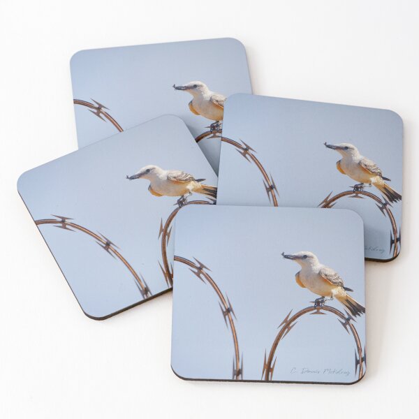 Item preview, Scissortail with lunch designed and sold by Texas Enfocus Photography.