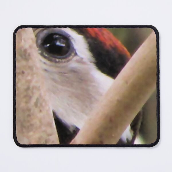Item preview, Woodpecker Closeup I designed and sold by ArtOfE.