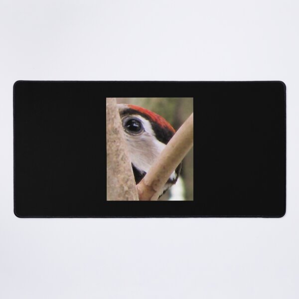 Item preview, Woodpecker Closeup I designed and sold by ArtOfE.