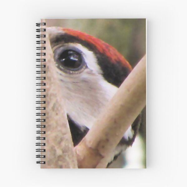Item preview, Woodpecker Closeup I designed and sold by ArtOfE.