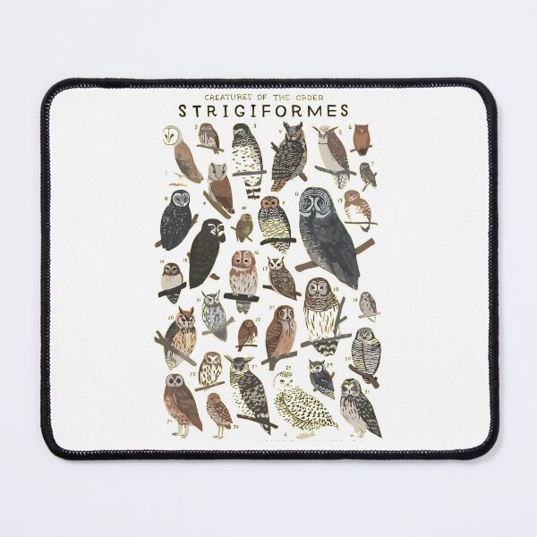 Item preview, Order Strigiforme designed and sold by PatronesKawai.