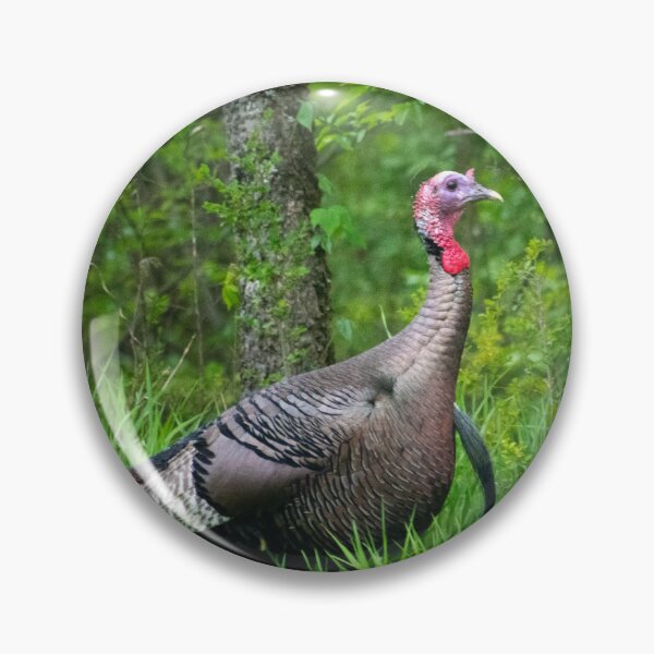 Item preview, Wild Turkey Portrait Tom designed and sold by MustelidMayArt.