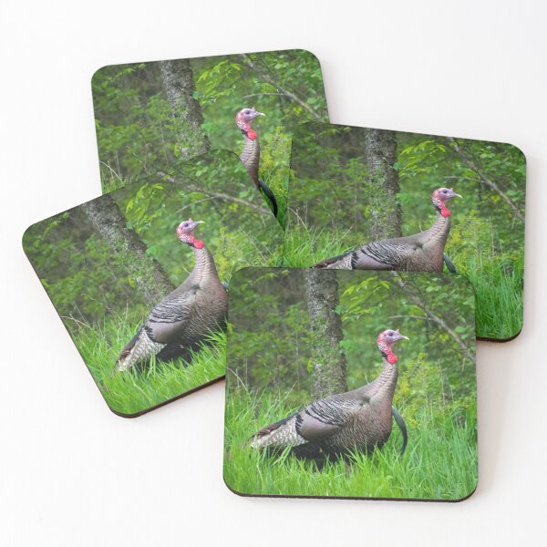 Item preview, Wild Turkey Portrait Tom designed and sold by MustelidMayArt.