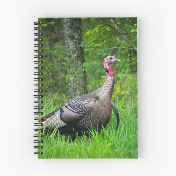 Item preview, Wild Turkey Portrait Tom designed and sold by MustelidMayArt.