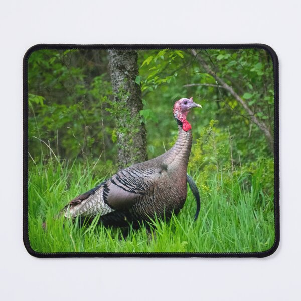 Item preview, Wild Turkey Portrait Tom designed and sold by MustelidMayArt.