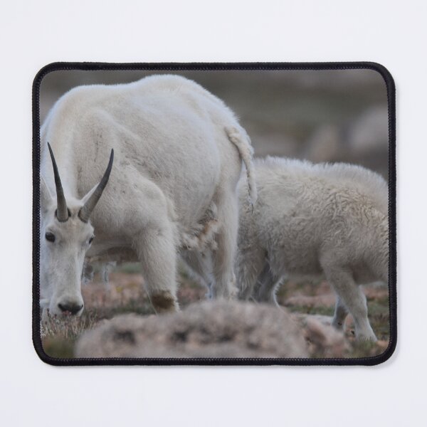 Item preview, Mountain Goat with kid designed and sold by MustelidMayArt.