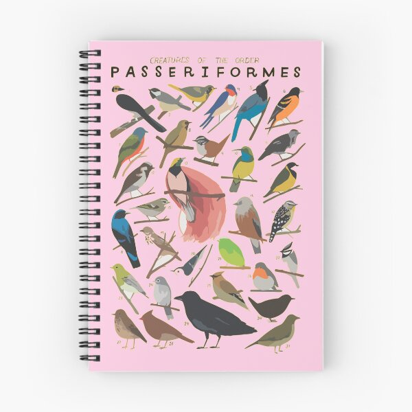 Item preview, Order Passeriformes designed and sold by PatronesKawai.