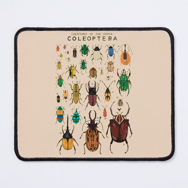 Item preview, Order Coleoptera designed and sold by PatronesKawai.