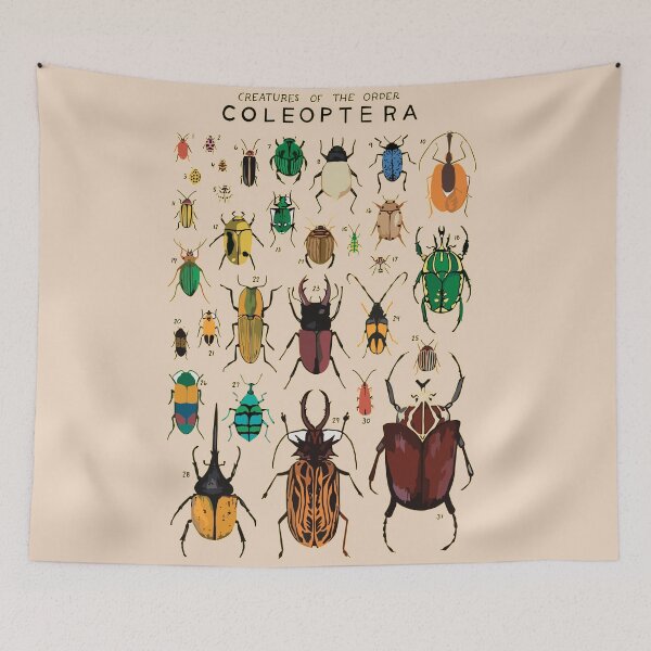 Item preview, Order Coleoptera designed and sold by PatronesKawai.