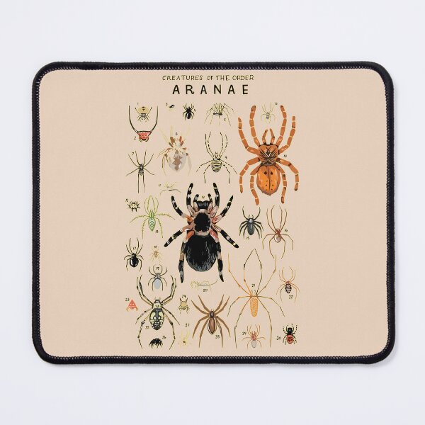 Item preview, Order Aranae designed and sold by PatronesKawai.