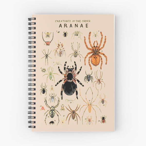Item preview, Order Aranae designed and sold by PatronesKawai.