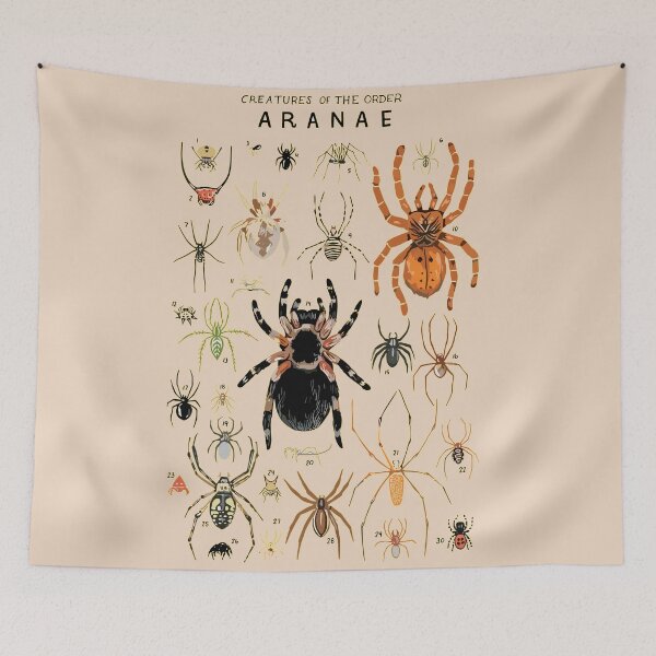 Item preview, Order Aranae designed and sold by PatronesKawai.