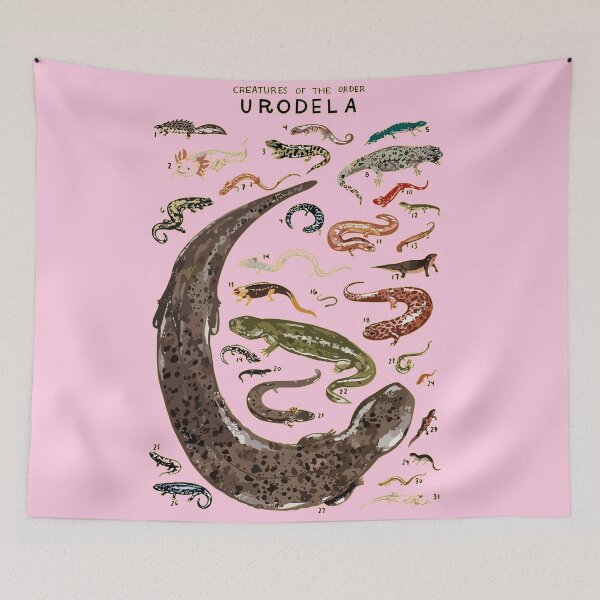 Item preview, Urodela Order designed and sold by PatronesKawai.