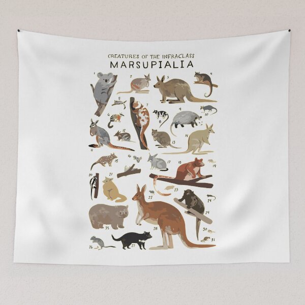 Item preview, Order Marsupialia designed and sold by PatronesKawai.
