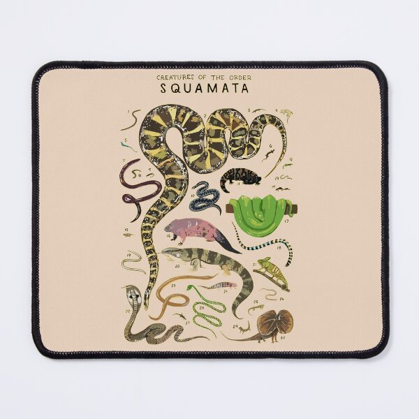 Item preview, Order Squamata designed and sold by PatronesKawai.