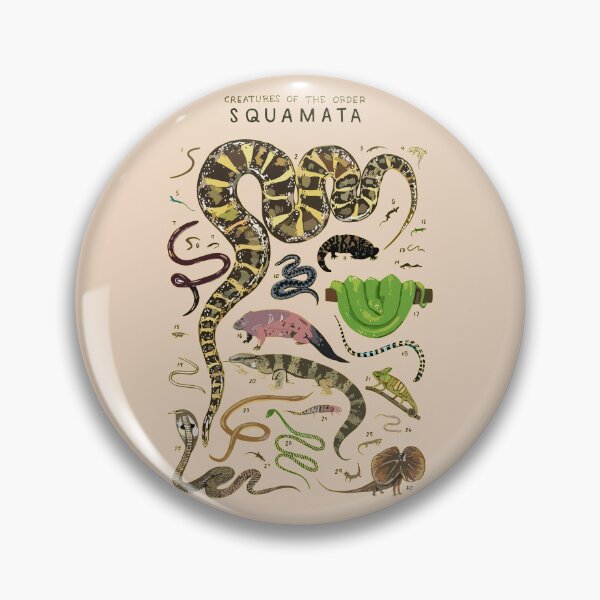 Item preview, Order Squamata designed and sold by PatronesKawai.