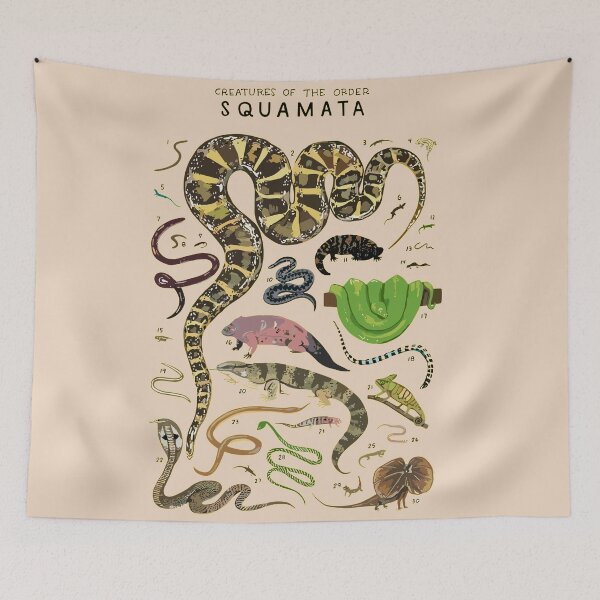 Item preview, Order Squamata designed and sold by PatronesKawai.