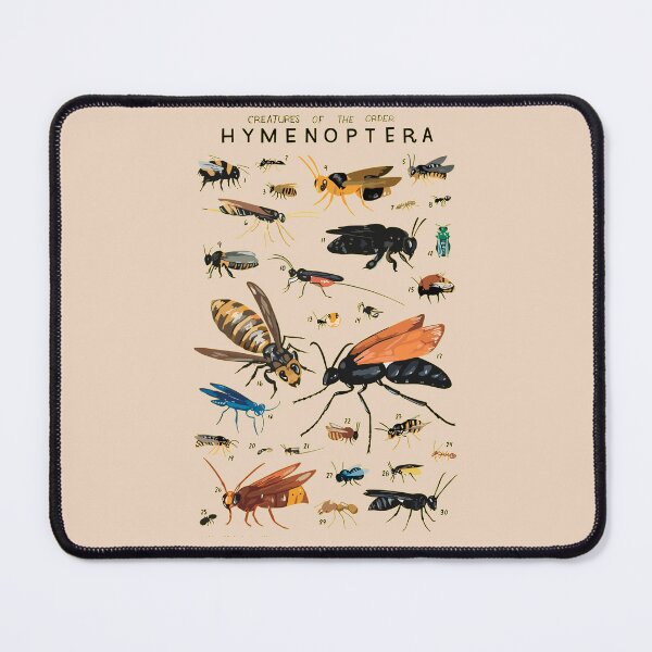 Item preview, Order Eminoptera designed and sold by PatronesKawai.