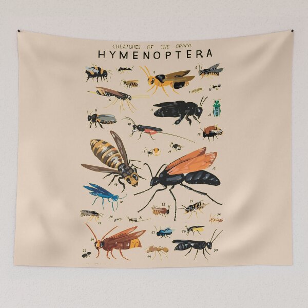 Item preview, Order Eminoptera designed and sold by PatronesKawai.