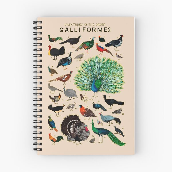 Item preview, Galliformes Order designed and sold by PatronesKawai.